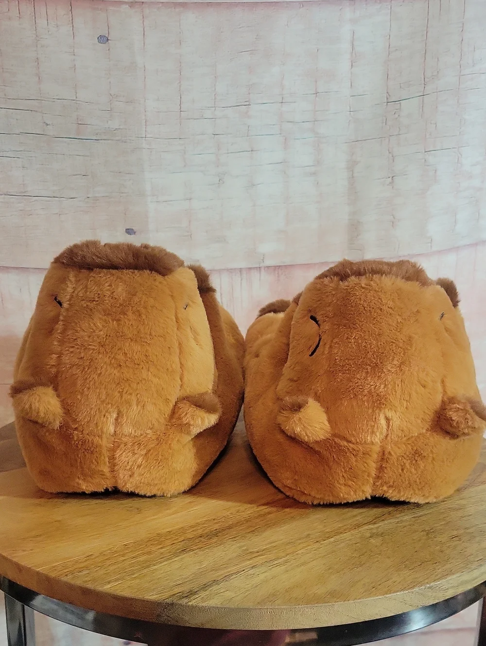 Capybara Slippers